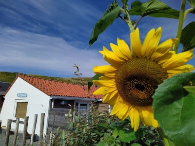 Holiday house d'Oghest (20 meters from the beach entrance) - Outdoor photo 3