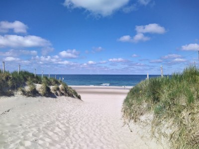 Holiday house d'Oghest (20 meters from the beach entrance) - Environment photo 15