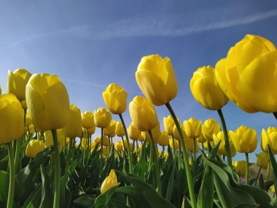 Holiday house d'Oghest (20 meters from the beach entrance) - Environment photo 16