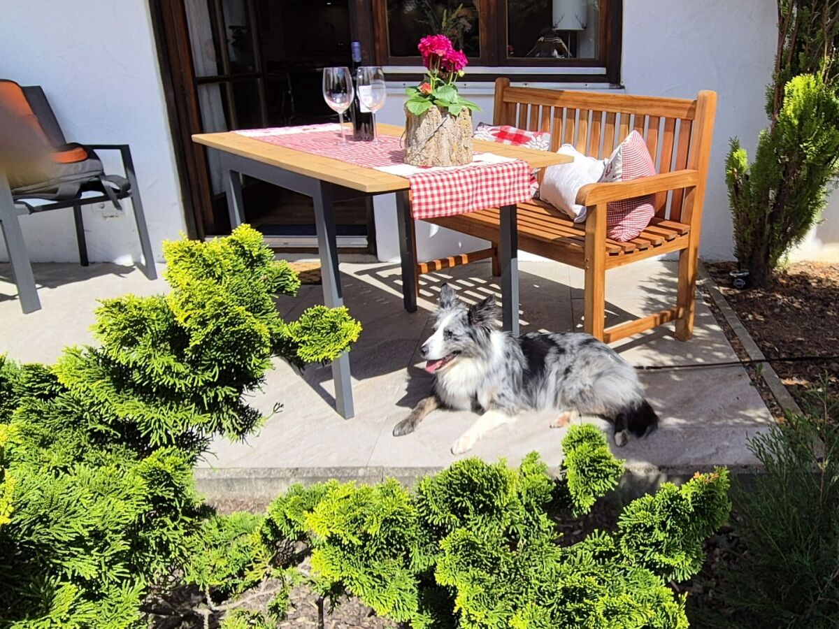 Holiday apartment Alpenherz Obermaiselstein - Outdoor photo 4