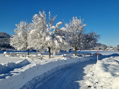 Holiday apartment Alpenherz Obermaiselstein - Environment photo 33