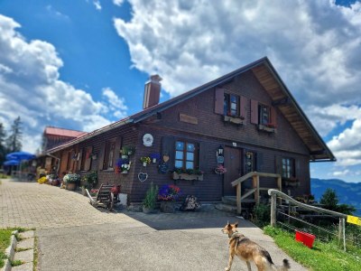 Holiday apartment Alpenherz Obermaiselstein - Environment photo 35