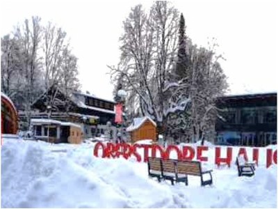 Holiday apartment Alpenherz Obermaiselstein - Environment photo 37