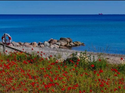 Holiday house Luxury Retreat by Hasmark - By Traum Ferienwohnungen - Outdoor photo 27