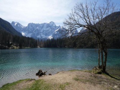 Apartment Wohnung in Verbania am See und Inseln - Environment photo 23