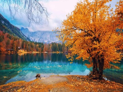 Apartment Wohnung in Verbania am See und Inseln - Environment photo 27