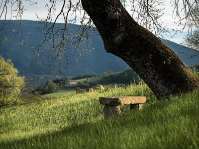 Apartment Wohnung in Verbania am See und Inseln - Environment photo 29