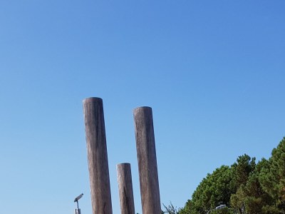 Chalet Chalet Comfort for 6 Persons - Environment photo 25