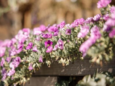 Apartment Holiday Home near Essen Trade Fair & Terrace - Environment photo 35