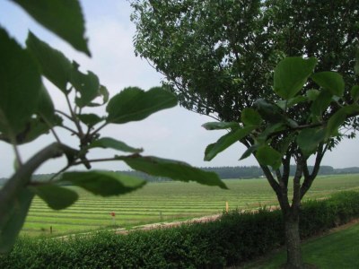 Holiday park Ruhiger Rückzugsort im Wald - Environment photo 12