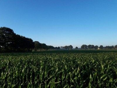 Holiday park Ruhiger Rückzugsort im Wald - Environment photo 19