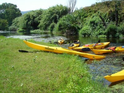 Holiday apartment Sa Fiorida - Apartment Rubinia - Environment photo 14