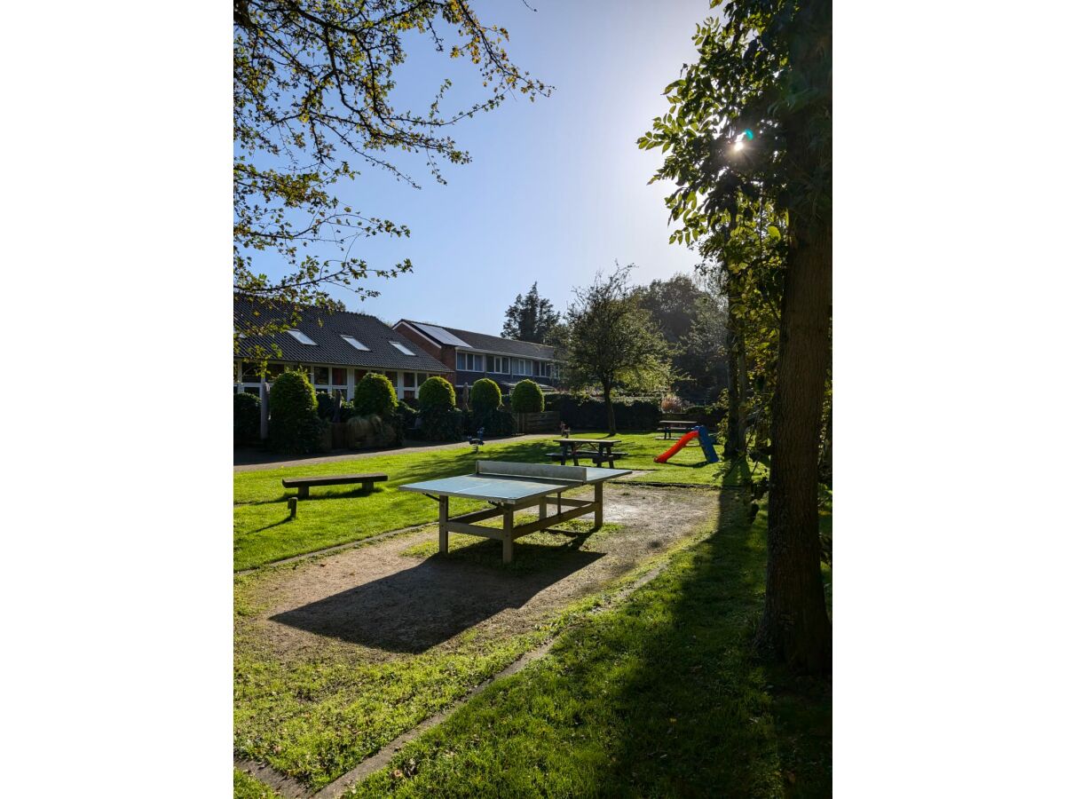 Holiday house De Woeste Hoeve Nr. 90 - Outdoor photo 4