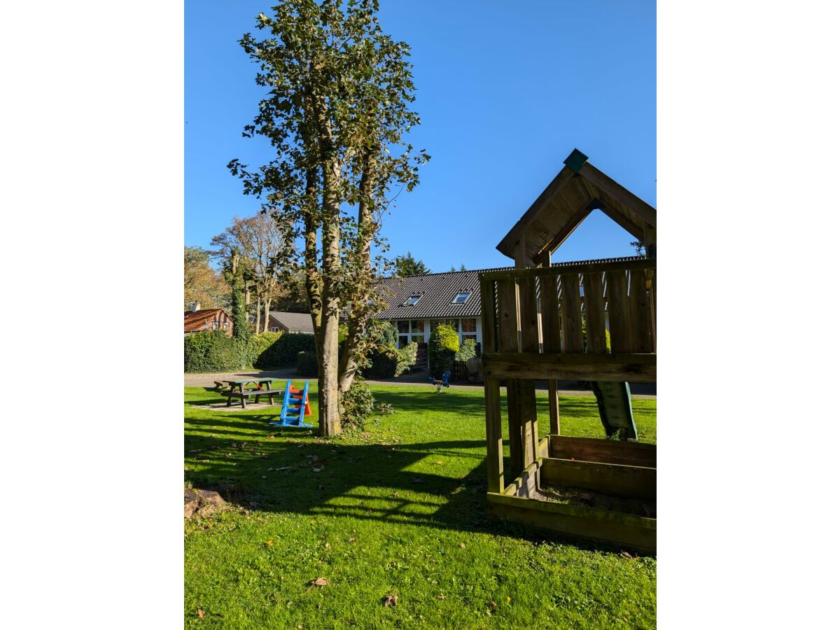 Holiday house De Woeste Hoeve Nr. 90 - Outdoor photo 5