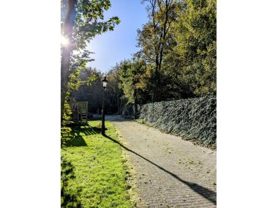 Holiday house De Woeste Hoeve Nr. 90 - Outdoor photo 7