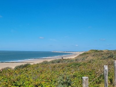 Holiday house De Woeste Hoeve Nr. 90 - Environment photo 26