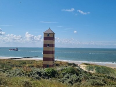 Holiday house De Woeste Hoeve Nr. 90 - Environment photo 29