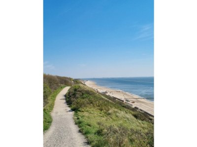 Holiday house De Woeste Hoeve Nr. 90 - Environment photo 30