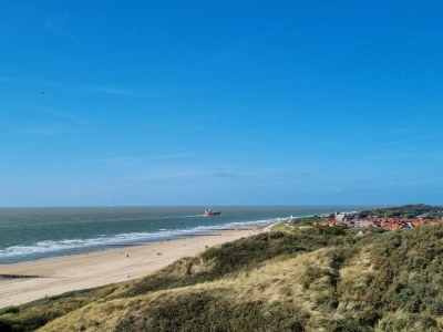 Holiday house De Woeste Hoeve Nr. 90 - Environment photo 31