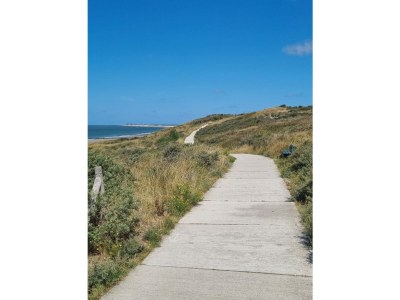 Holiday house De Woeste Hoeve Nr. 90 - Environment photo 32