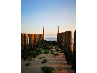 Holiday house De Woeste Hoeve Nr. 90 - Environment photo 33