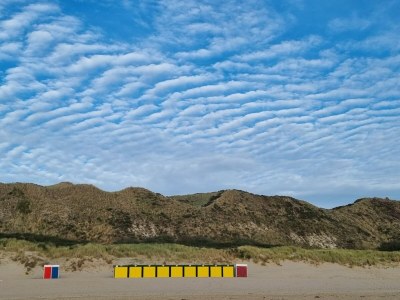 Holiday house De Woeste Hoeve Nr. 90 - Environment photo 34