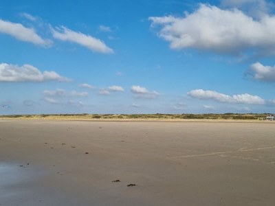 Holiday house De Woeste Hoeve Nr. 90 - Environment photo 35