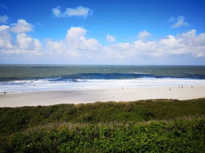 Holiday house De Woeste Hoeve Nr. 90 - Environment photo 36