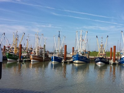 Holiday house Komfort-Ferienhaus Wellenreiter 1 - Environment photo 31