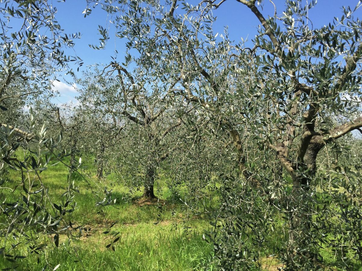 Cottage Herrenhaus mit Pool und Spielbereich - Outdoor photo 2