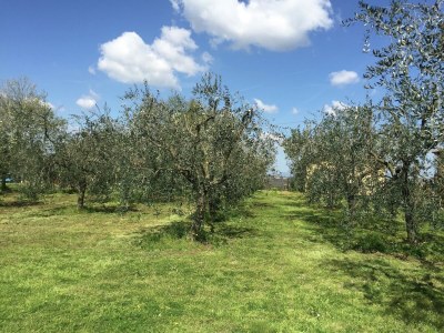 Cottage Herrenhaus mit Pool und Spielbereich - Outdoor photo 12