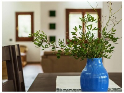 Villa Vesta - Features photo 10