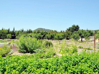 Holiday house Ses Rentedores [2257] - Outdoor photo 20