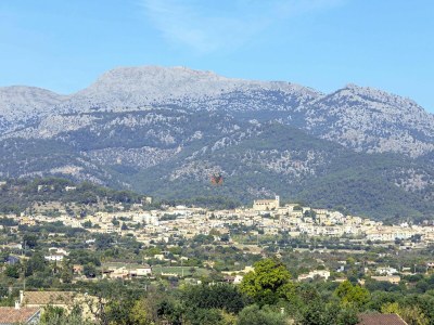 Holiday house Ses Rentedores [2257] - Environment photo 39