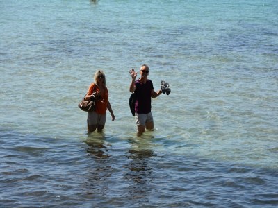 Holiday house Villa in Meounes-Les-Montrieux - Environment photo 36