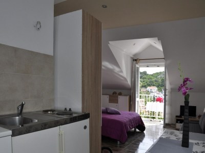 Apartment Apartment Danijela Mljet - Studio Apartment with Balcony and Sea View - Features photo 7
