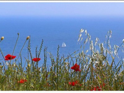 Apartment Apartment Danijela Mljet - Studio Apartment with Balcony and Sea View - Outdoor photo 18