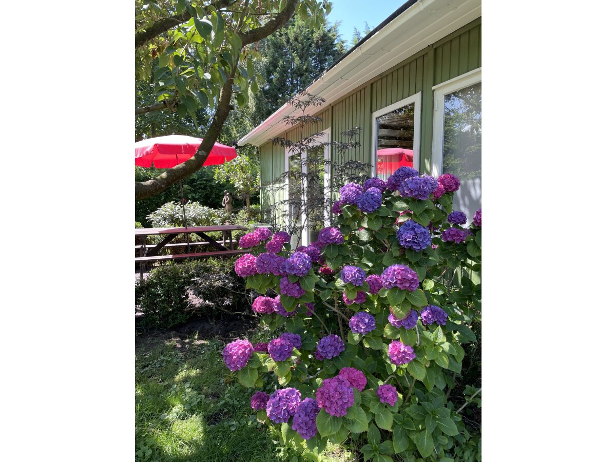 Holiday house Siebenstein - Outdoor photo 2