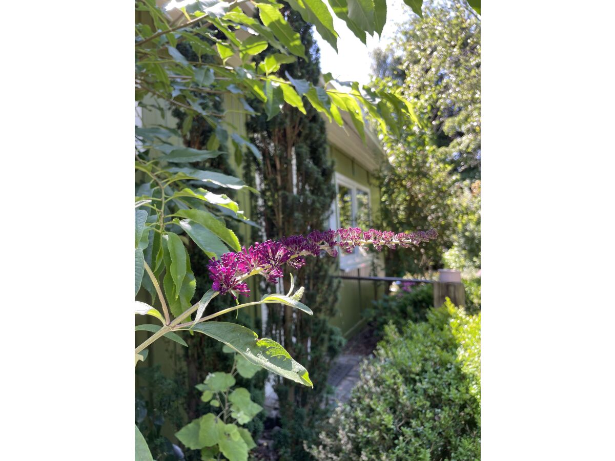 Holiday house Siebenstein - Outdoor photo 5