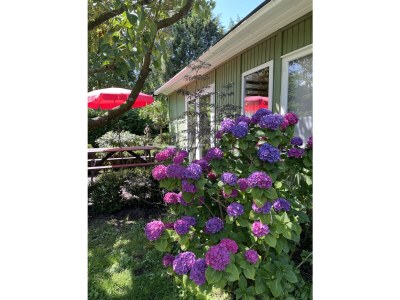 Holiday house Siebenstein - Outdoor photo 2