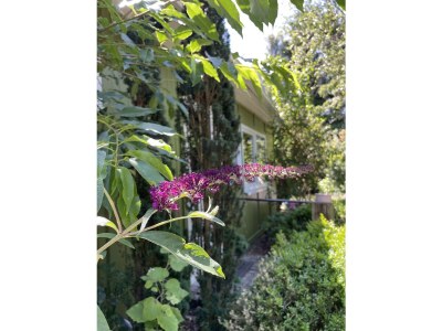 Holiday house Siebenstein - Outdoor photo 5