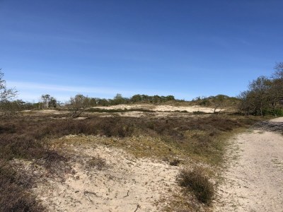 Holiday apartment Studio Studler - Environment photo 20