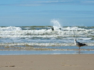 Holiday apartment Studio Studler - Environment photo 21