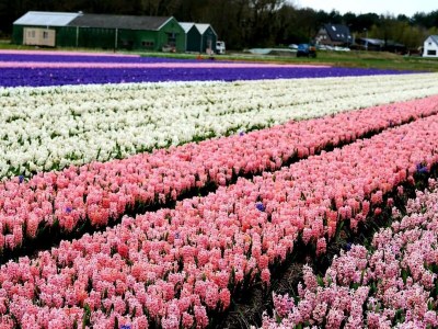 Holiday apartment Studio Studler - Environment photo 23