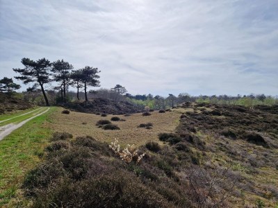 Holiday apartment Studio Studler - Environment photo 24