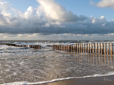 Holiday apartment Studio Studler - Environment photo 25