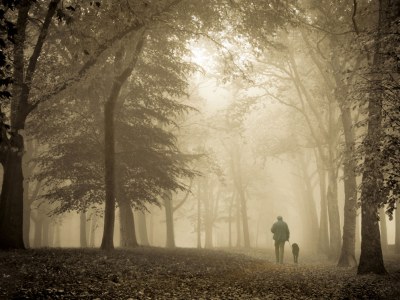 Holiday apartment De Groet - Environment photo 14