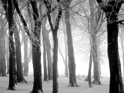 Holiday apartment De Groet - Environment photo 15