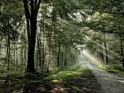 Holiday apartment De Groet - Environment photo 16