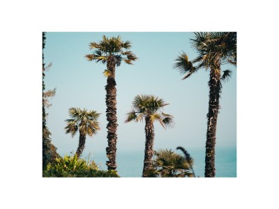 Holiday apartment Le rêve d'Adèle in Saint quay perros - Holiday apartment